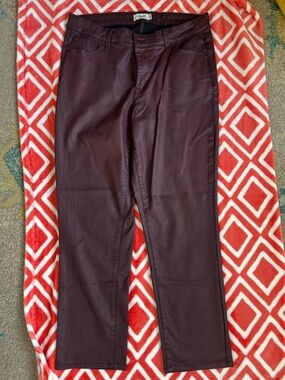 Edgely Straight Ankle Coated Pants in Deep Burgundy 16W Long